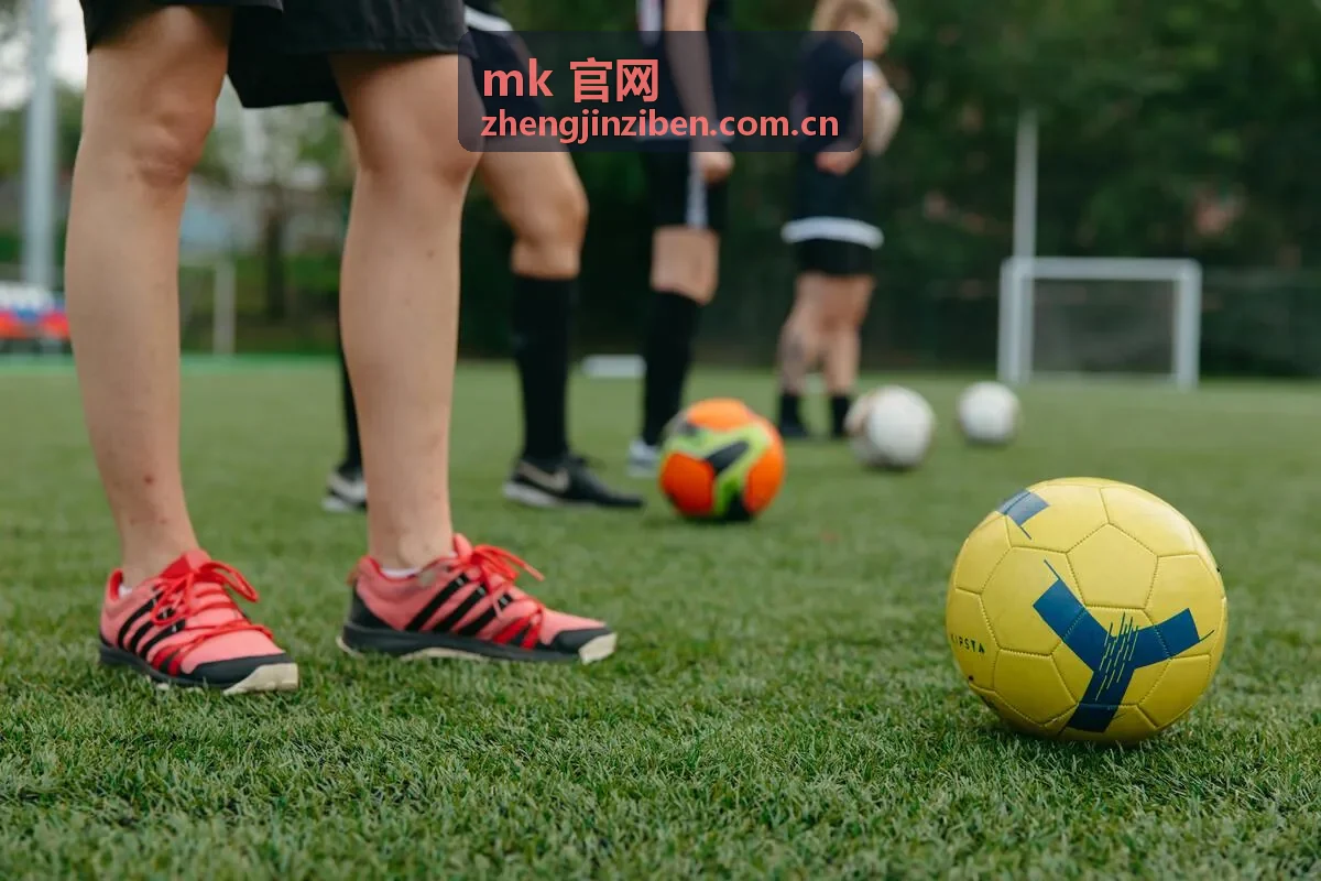 mk 官网专属技术顾问服务范围说明封面