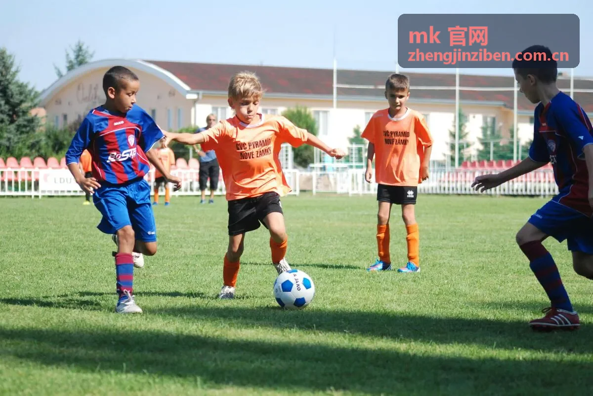 mk 官网旧环境平滑迁移切换流程封面